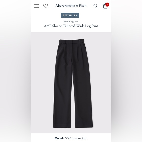 A&F Sloane Tailored Wide Leg Pant NWT - Picture 1 of 6